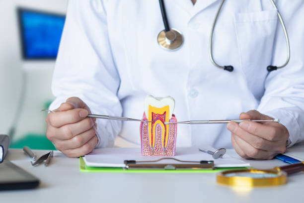 Best Urgent Dental Care for Toothaches in Pymatuning Central, PA